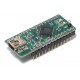 FTDI USB IO-MODULE (UART/BITBANG/JTAG/SPI/I2C/FT1248) DIP28