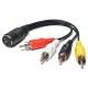 ADAPTER DIN5 FEMALE / RCA 4x MALE