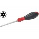 SCREWDRIVER TORX T10 80/191mm