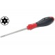 SCREWDRIVER TORX T20 100/211mm