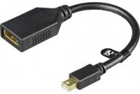 DisplayPort Female / miniDisplayPort Male