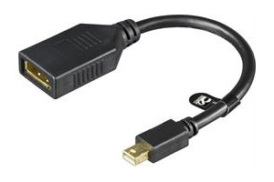 DisplayPort NAARAS / miniDisplayPort UROS