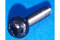 PHILLIPS SCREW M2x10mm