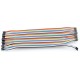 2.0mm DUAL-FEMALE DUAL-ROW JUMPER WIRE 20cm 40pin