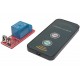 RELAY MODULE WITH REMOTE CONTROL 12VDC