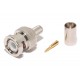 BNC CONNECTOR MALE CRIMP FOR HFX50 CABLE