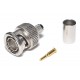 BNC CONNECTOR MALE CRIMP RG59