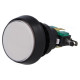 MICRO SWITCH WITH LARGE BUTTON AND WHITE 12V LED LIGHT