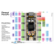 Pimoroni Pico LiPo 4MB (RP2040)