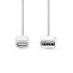 USB KAAPELI iPHONE5/Lightning 3m Valkoinen