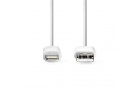 USB A MALE / LIGHTNING CABLE 3m white