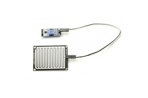 Rain/Steam Sensor