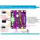 DC Motor Driver 1A 2-9V 2CH