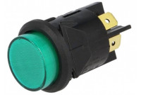 PUSHBUTTON SWITCH 2-POLE (ON)/OFF 16A 250VAC with green light