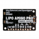 LiPo Amigo Pro (LiPo/LiIon PARISTOLATURI)