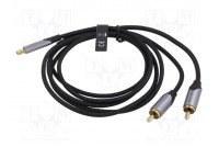 Kaapeli RCA-pistoke x2,USB C pistoke kullattu 0,5m musta