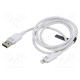 Cable USB 2.0 Apple Lightning plug,USB A plug nickel plated