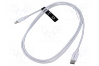 Cable USB 2.0 Apple Lightning plug,USB C plug nickel plated