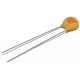 CERAMIC CAPACITOR 1kV 100pF R5