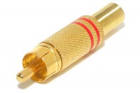 RCA MALE GOLDEN METAL RED